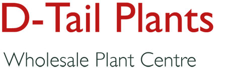 D-Tail Plants